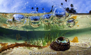 water splash in a tide pool Laguna Beach by Dale Kobetich 